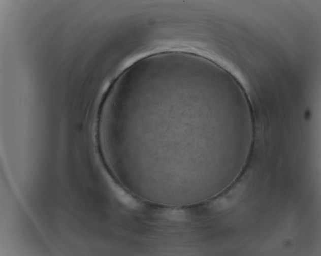 X0000094801525200711241413