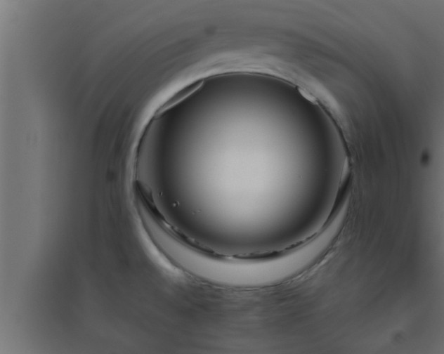 X0000094801528200711241413
