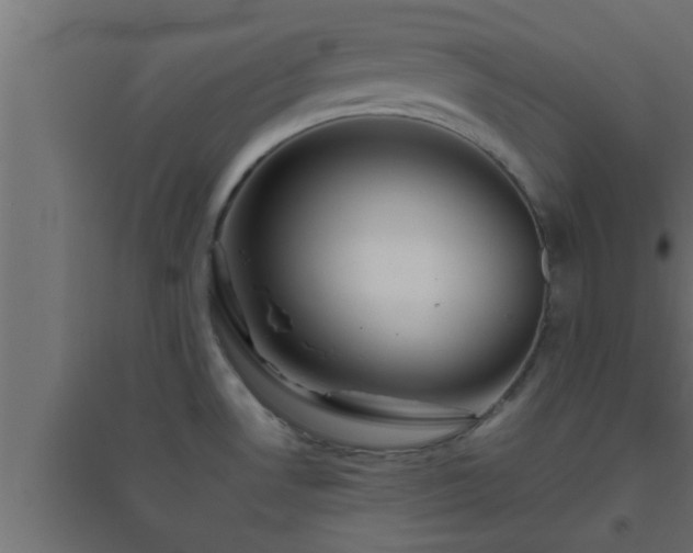 X0000094801530200711241413