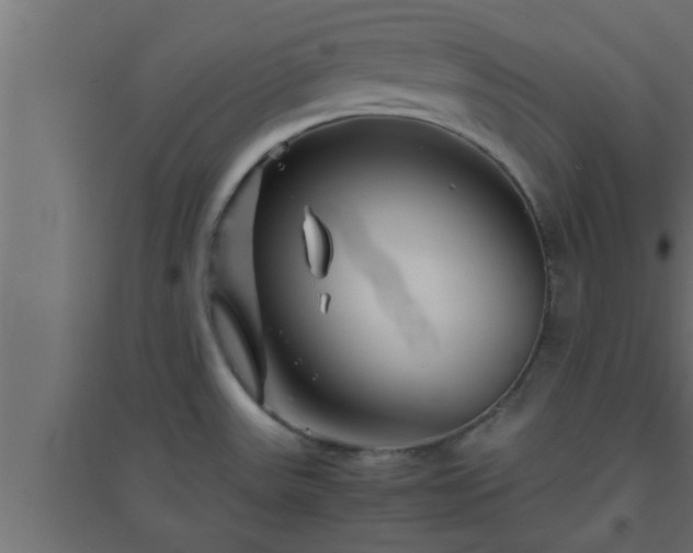X0000094801531200711241413