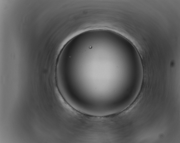 X0000094801534200711241413