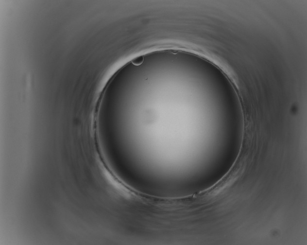 X0000094801535200711241413