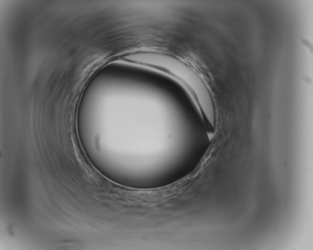 X0000094800001200711301549