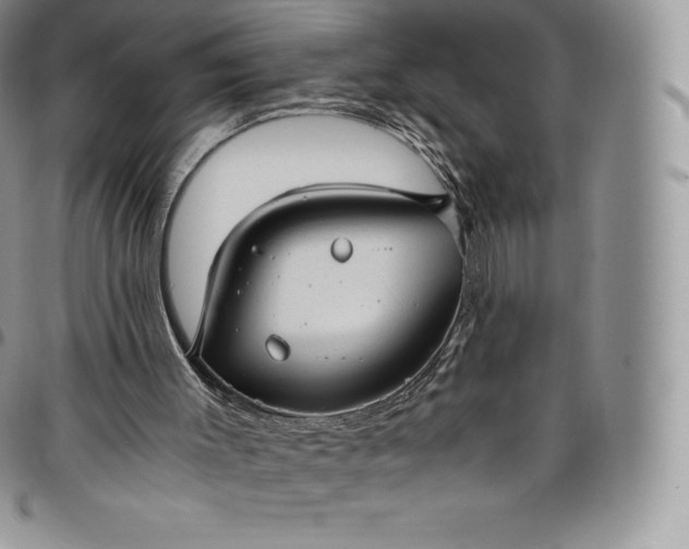 X0000094800003200711301549