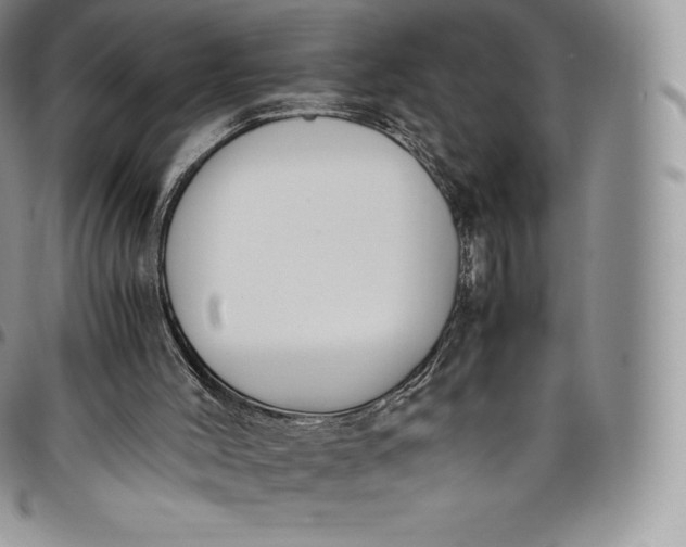 X0000094800004200711301549