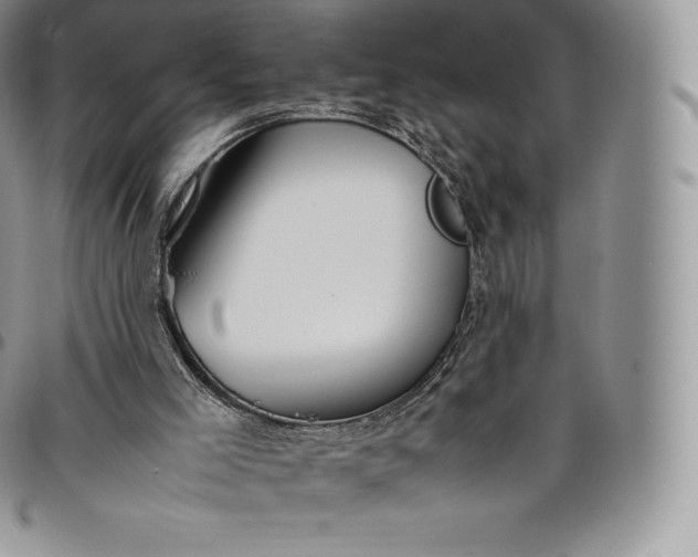 X0000094800005200711301549