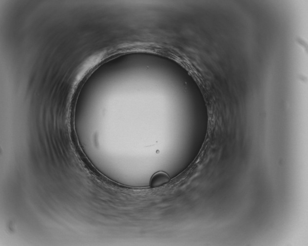 X0000094800006200711301549