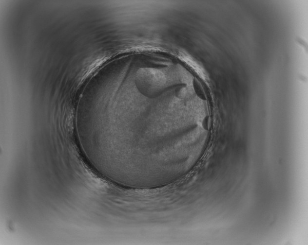 X0000094800009200711301549