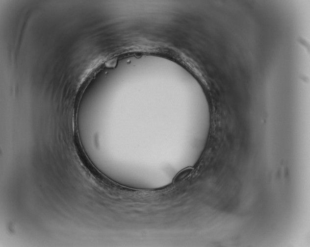 X0000094800011200711301549