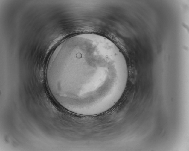 X0000094800012200711301549