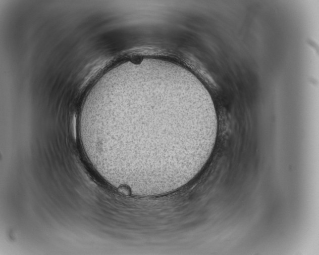 X0000094800014200711301549