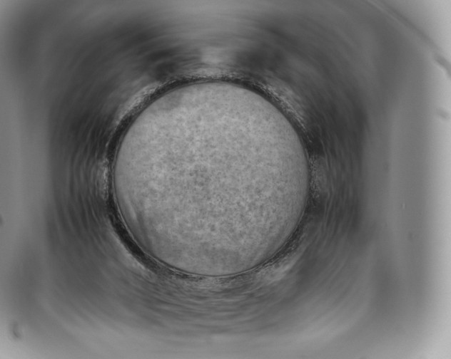 X0000094800016200711301549