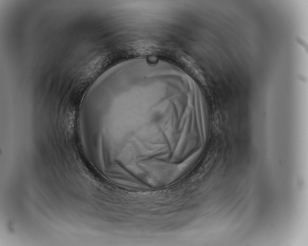 X0000094800018200711301549