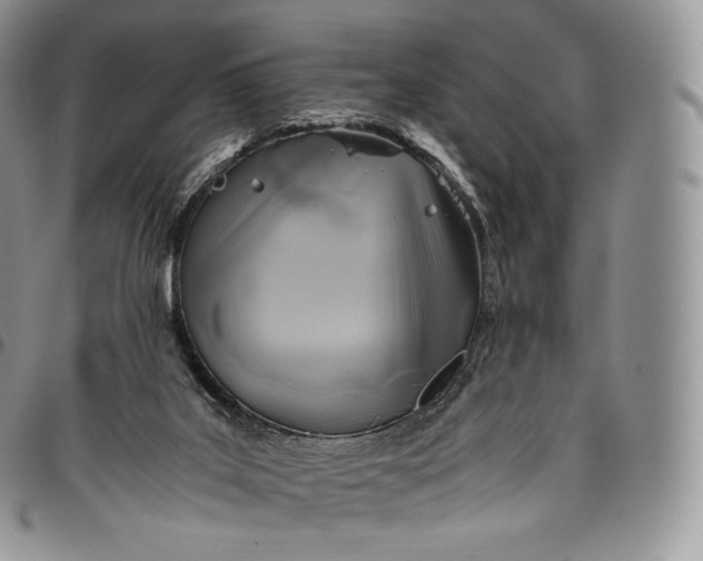 X0000094800019200711301549