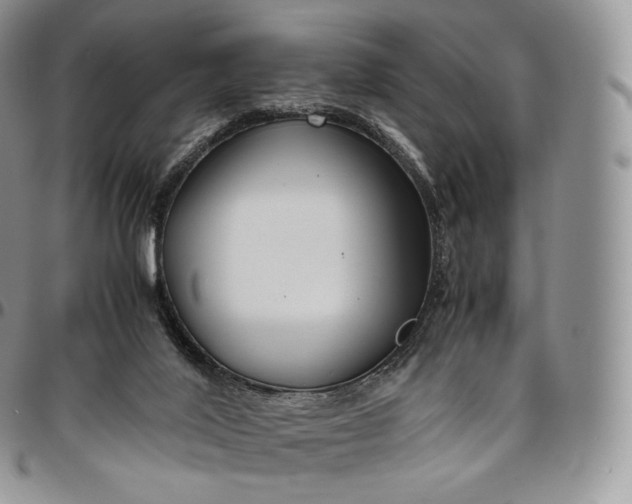 X0000094800020200711301549