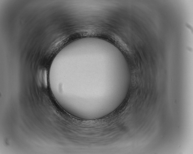 X0000094800022200711301549