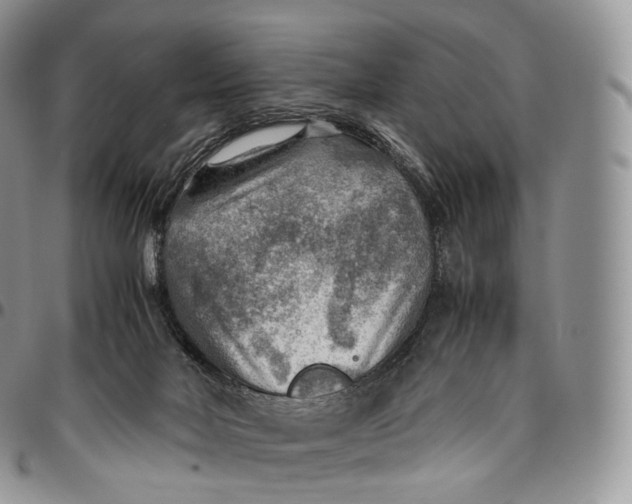 X0000094800026200711301549