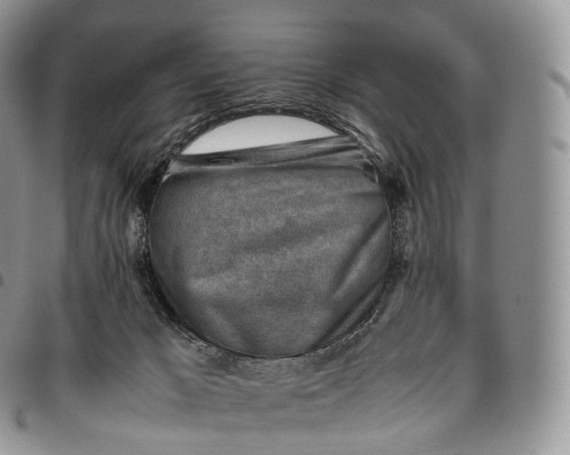 X0000094800029200711301549