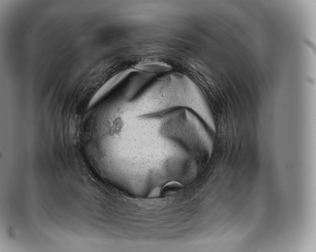 X0000094800030200711301549