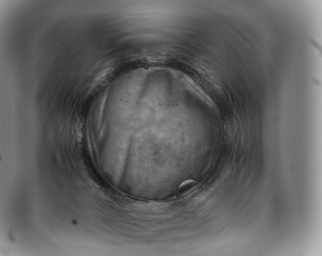 X0000094800032200711301549