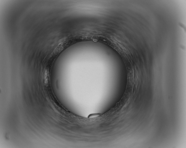 X0000094800038200711301549