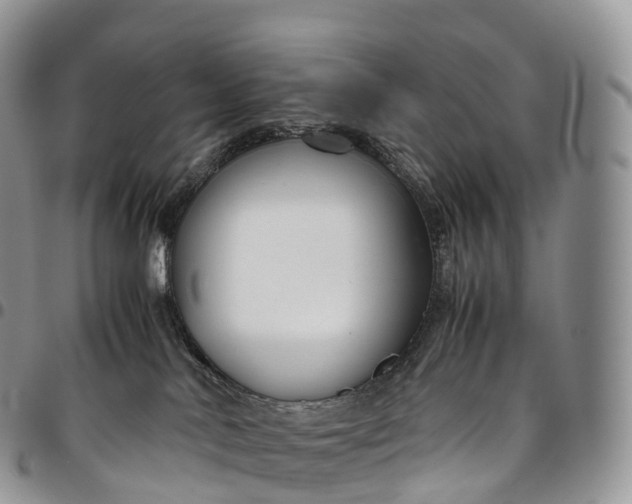 X0000094800042200711301549