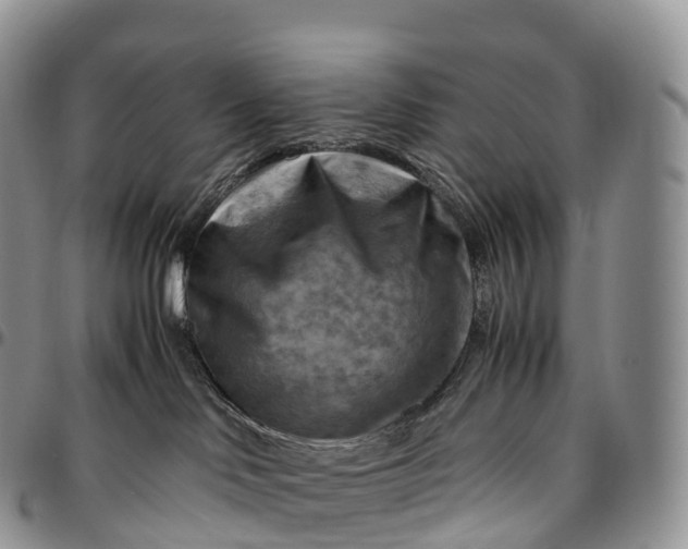 X0000094800046200711301549