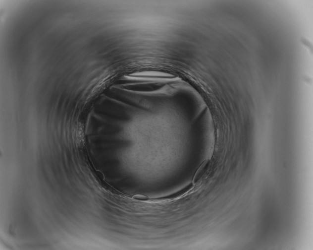 X0000094800048200711301549