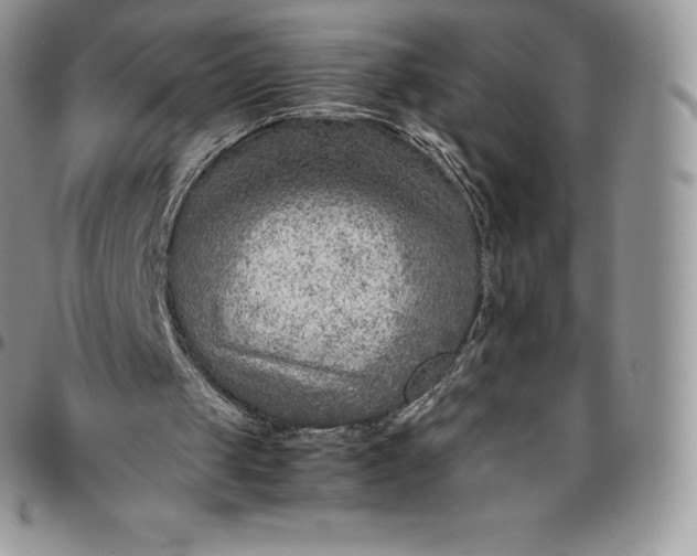 X0000094800049200711301548