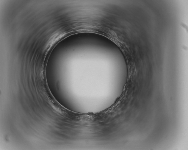 X0000094800050200711301548