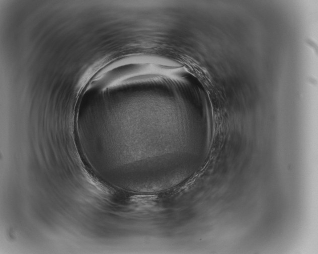 X0000094800051200711301548