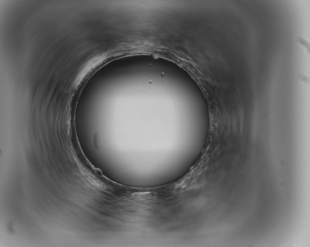 X0000094800054200711301548