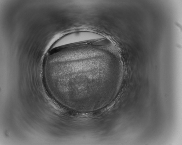 X0000094800056200711301548