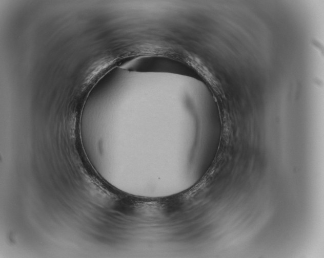 X0000094800058200711301548