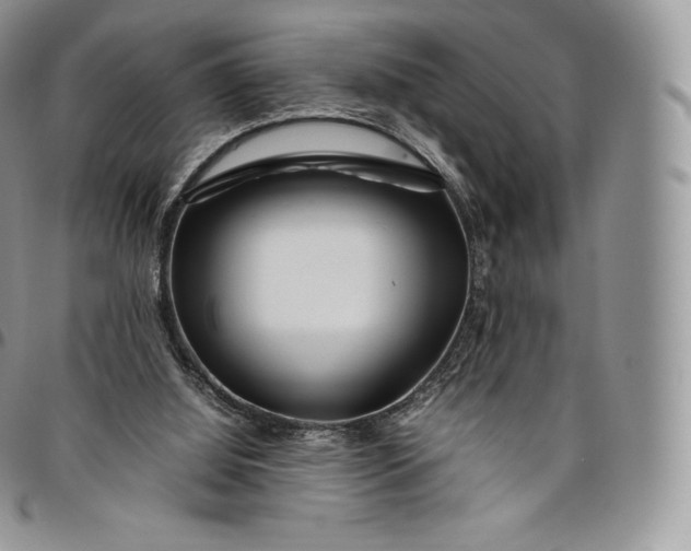 X0000094800060200711301548