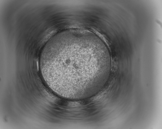 X0000094800061200711301548