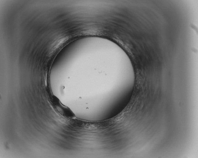 X0000094800062200711301548