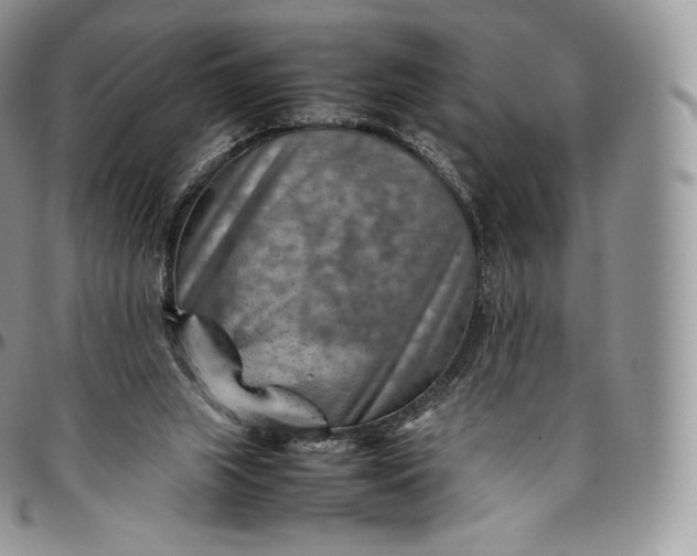 X0000094800063200711301548