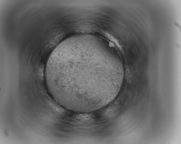 X0000094800065200711301548