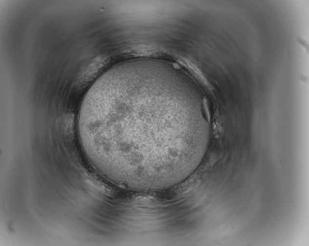 X0000094800066200711301548