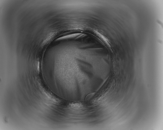 X0000094800067200711301548