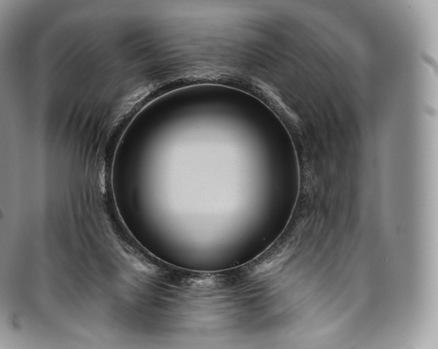 X0000094800068200711301548