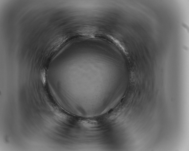 X0000094800069200711301548