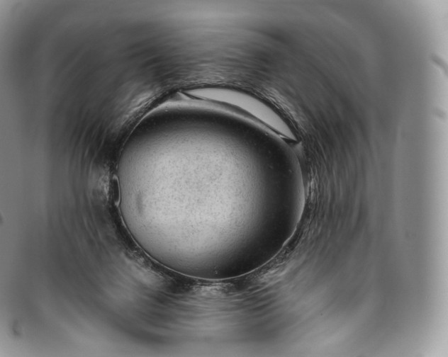 X0000094800072200711301549