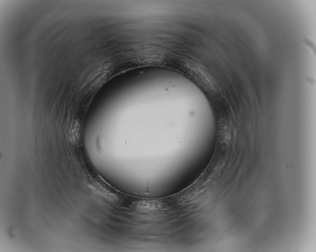 X0000094800077200711301549