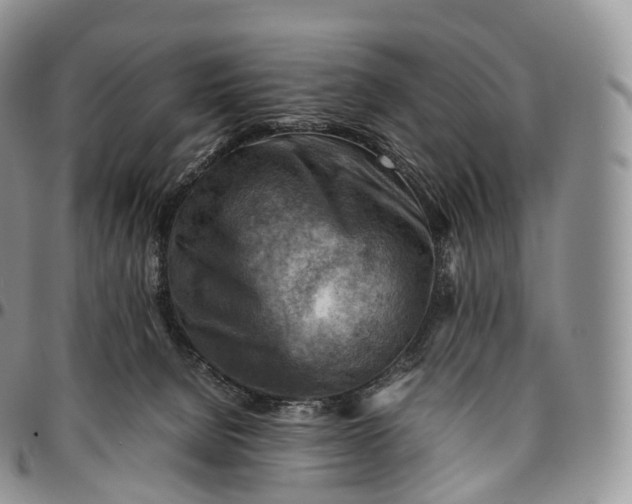 X0000094800080200711301549