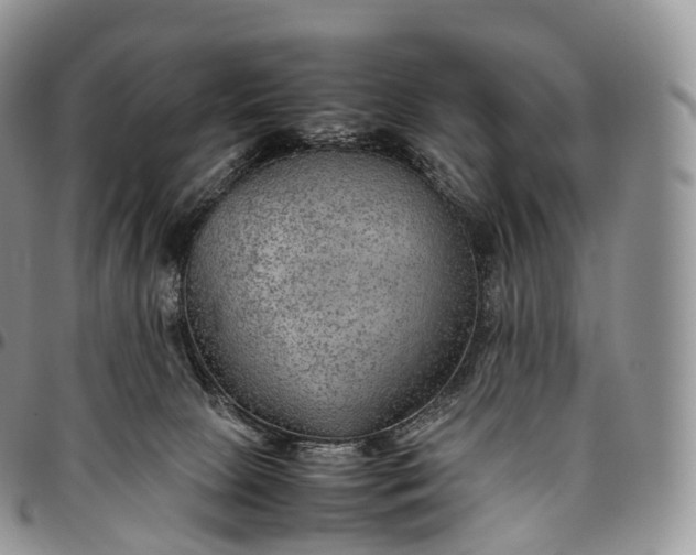 X0000094800081200711301549