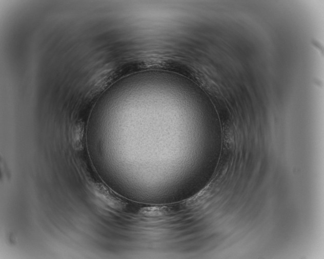 X0000094800082200711301549