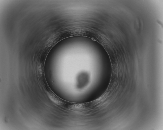 X0000094800086200711301549