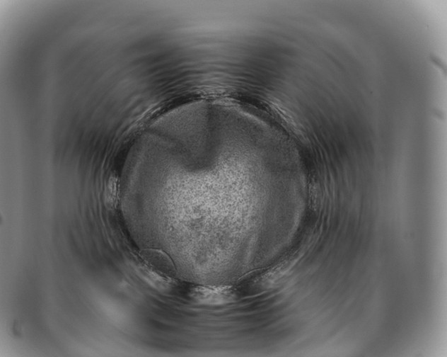 X0000094800093200711301549